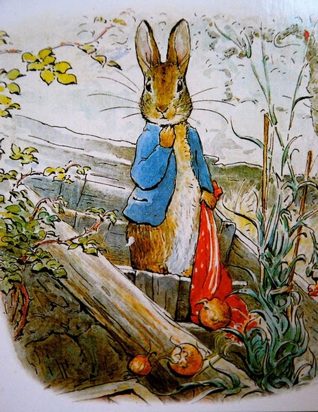 Peter Rabbit from 'The Tale of Peter Rabbit'
