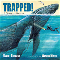 Trapped: A Whale’s Rescue