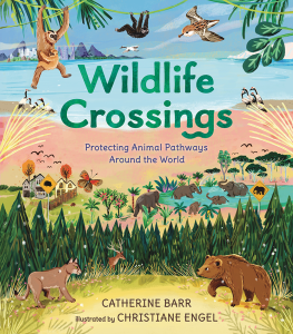 Wildlife Crossings—Protecting Animal Pathways Around the World