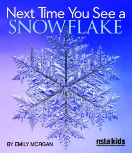 Next Time You  See a Snowflake