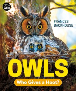 Owls—Who Gives a Hoot?