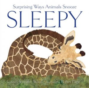 Sleepy—Surprising Ways Animals Snooze