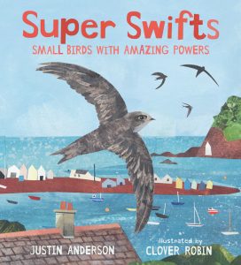 Super Swifts—Small Birds with Amazing Powers