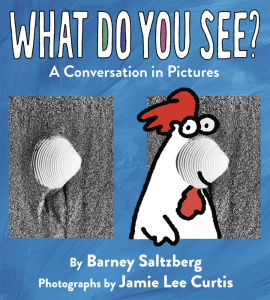 What do you See? A Conversation in Pictures