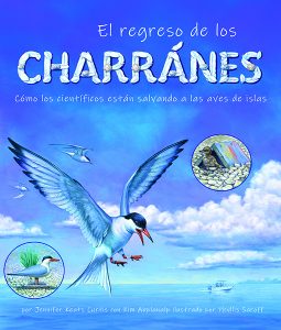 El regreso de los charranes—Cómo los científicos están salvando a las aves de islas