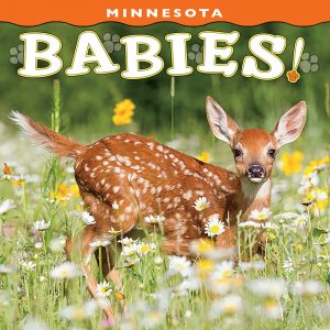 Minnesota Babies