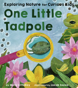 One Little Tadpole—Exploring Nature for Curious Kids