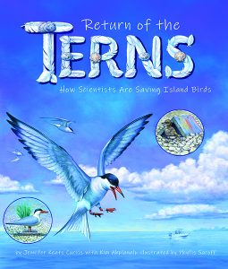 Return of the Terns: How Scientists Are Saving Island Birds