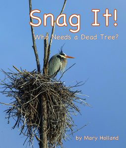 Snag It—Who Needs a Dead Tree?