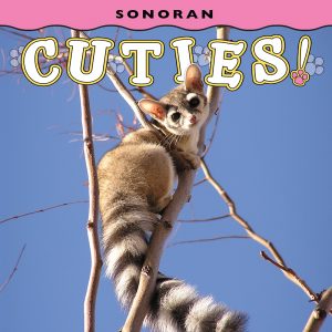 Sonoran Cuties!