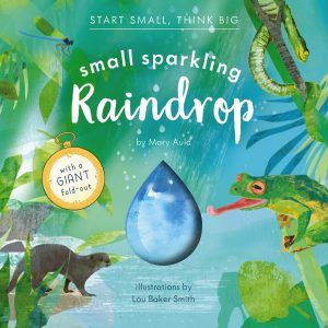 Start Small, Think Big—Small Sparkling Raindrop