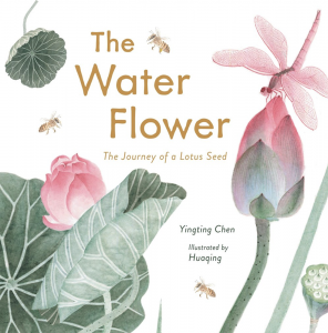 The Water Flower—The Journey of a Lotus Seed
