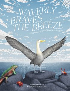 Waverly Braves the Breeze—The Story of a Galapagos Albatross