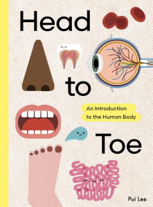 Head to Toe: An Introduction to the Human Body