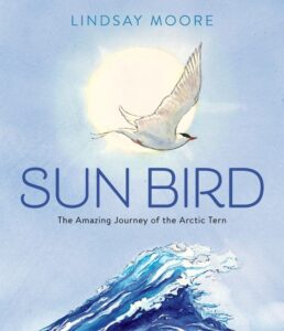 Sun Bird: The Amazing Journey of the Arctic Tern