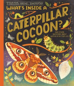 What’s Inside a Caterpillar Cocoon?