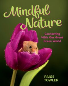 Mindful Nature: Connecting with Our Great Green World