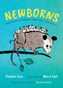 Newborns: How Baby Animals Come into the World
