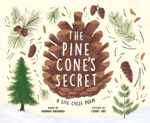 The Pine Cone’s Secret