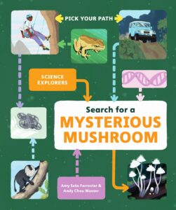 Search for a Mysterious Mushroom