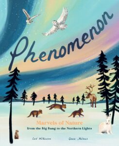 Phenomenon: Marvels of Nature from the Big Bang to the Northern Lights