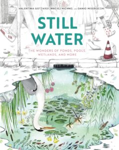 Still Water: The Wonders of Ponds, Pools, Wetlands, and More
