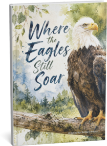 Where the Eagles Still Soar